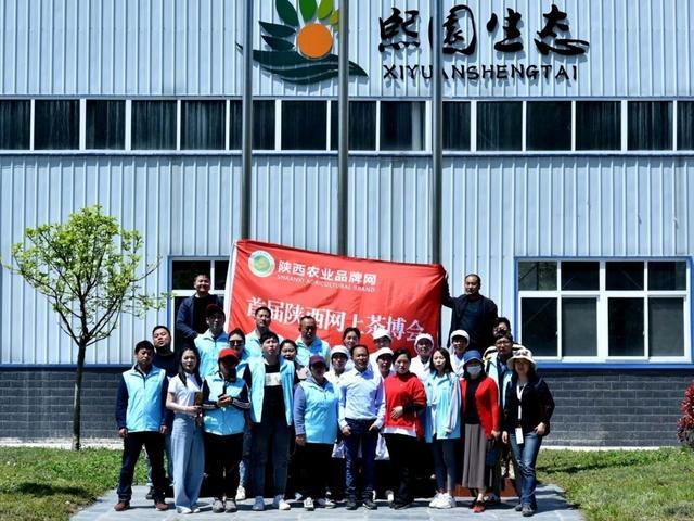 高山富硒茶向阳春（高山硒茶价格）-硒宝网