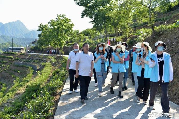 陕西蜡烛山富硒茶(蜡烛山富硒茶价格)-硒宝网