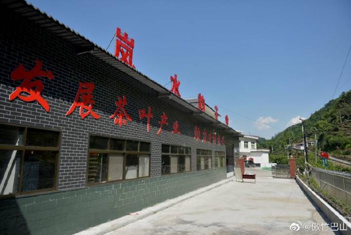 陕西蜡烛山富硒茶(蜡烛山富硒茶价格)-硒宝网