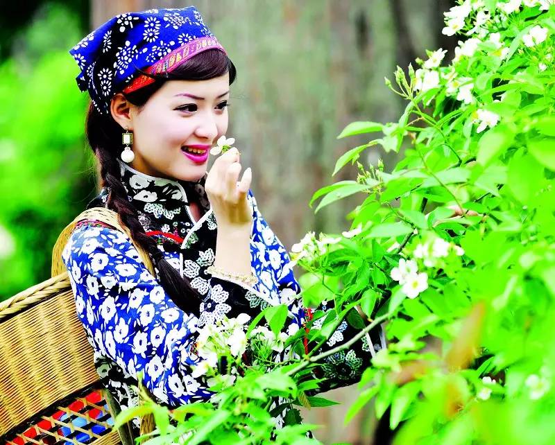 恩施哪里有富硒茶(恩施富硒茶口感如何)-硒宝网