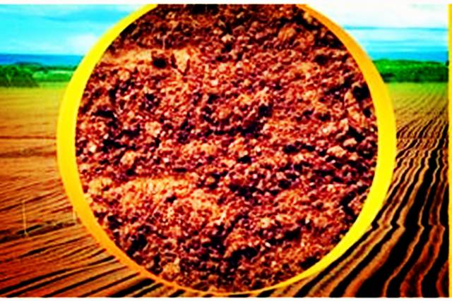 恩施哪里有富硒茶(恩施富硒茶口感如何)-硒宝网