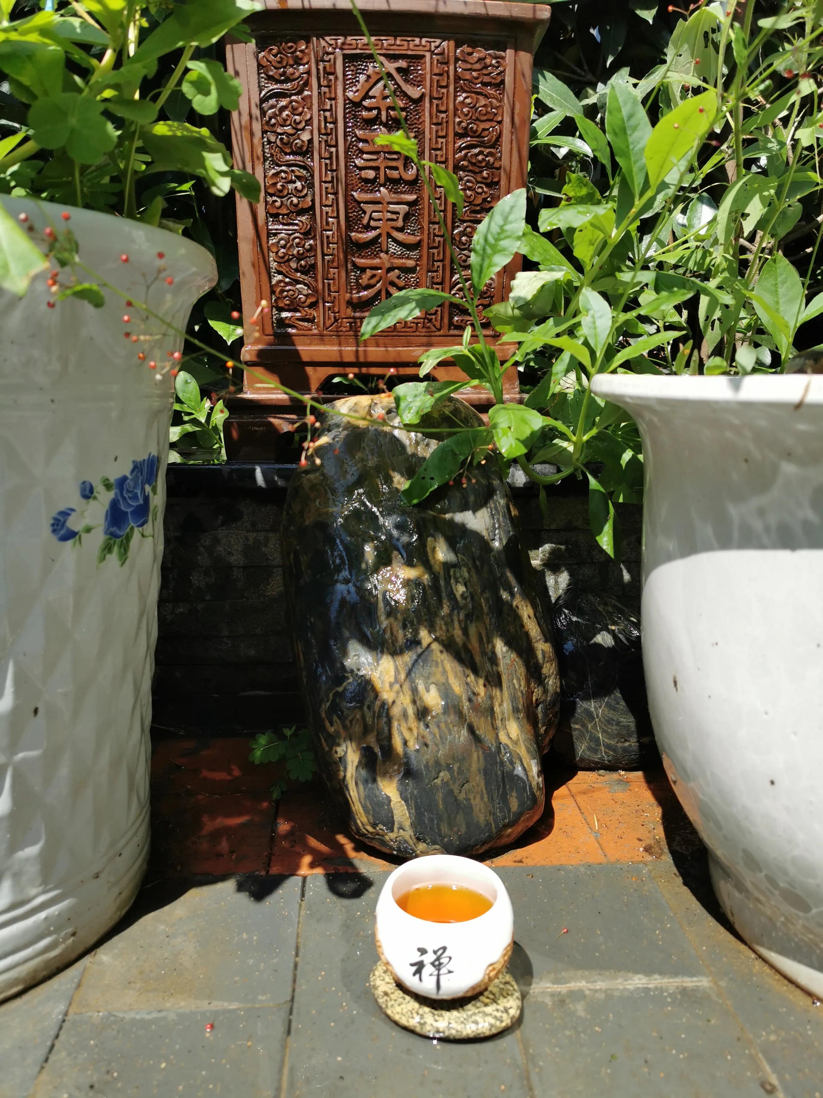 安康富硒茶怎么泡（安康富硒茶多少钱一斤汗水晨雾）-硒宝网