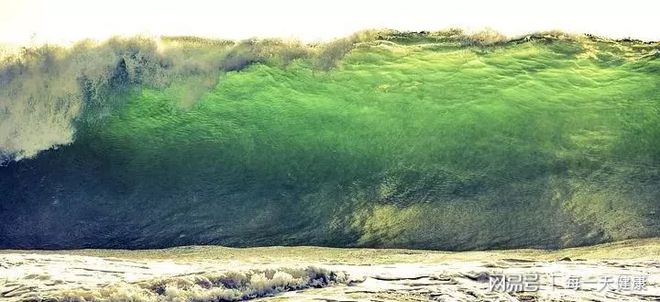 甘喜乐富硒茶含片(干喜乐富硒茶含片作用)-硒宝网