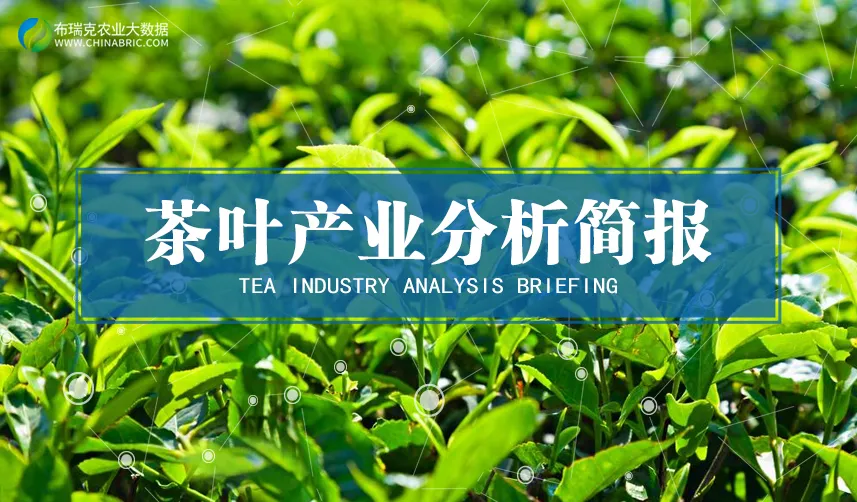 富硒茶作用和功效(富硒茶的功效)-硒宝网