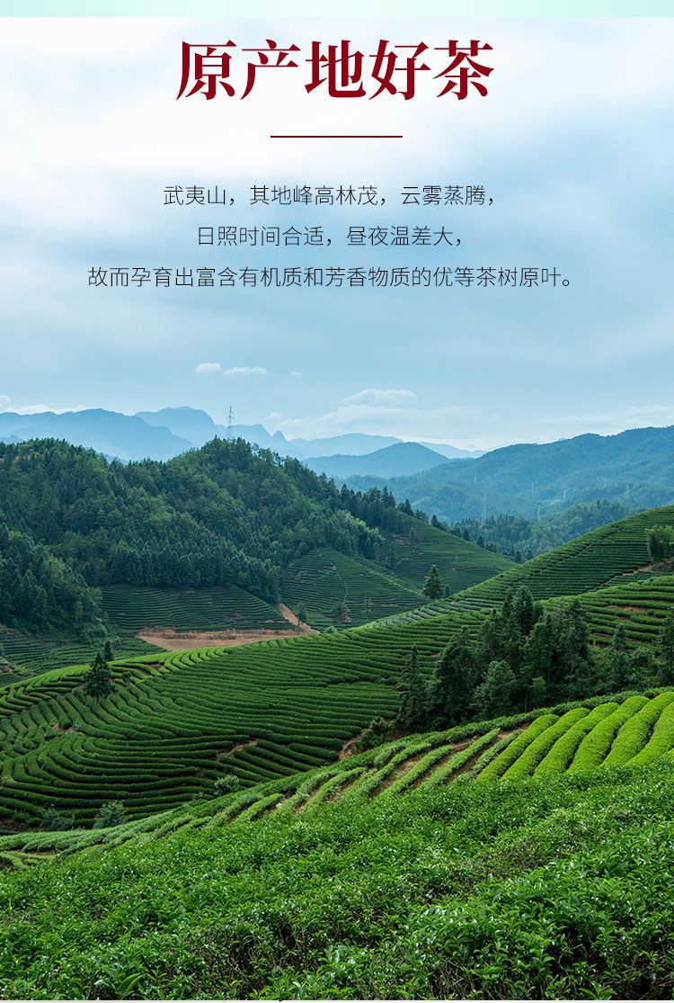 富硒茶作用和功效(富硒茶的功效)-硒宝网