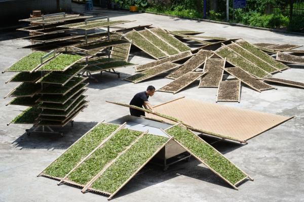 富硒茶治疗胰腺吗（硒胰腺）-硒宝网