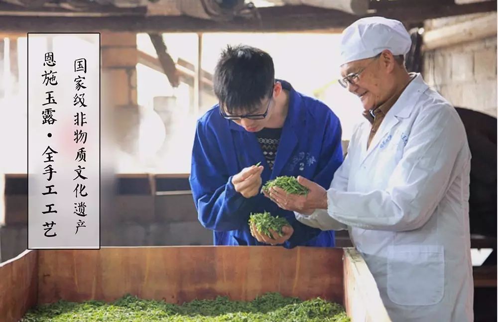 富硒茶与恩施玉露（恩施玉露与恩施富硒茶对比区别）-硒宝网