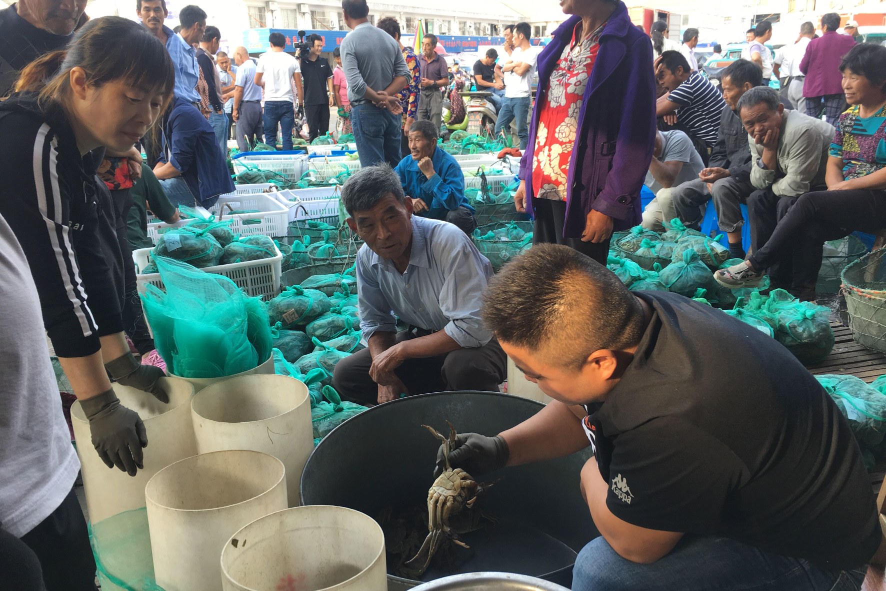 广西富硒茶饼价格(富硒茶庄)-硒宝网