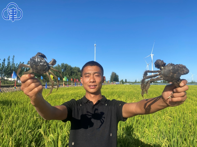 广西富硒茶饼价格(富硒茶庄)-硒宝网