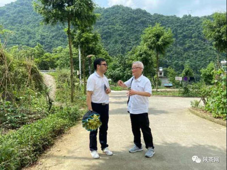 岚皋富硒茶南宫山(南宫山富硒茶礼盒价格)-硒宝网