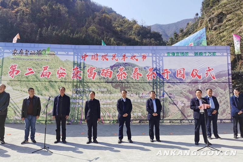 质量好安康富硒茶（安康富硒茶多少钱一斤）-硒宝网