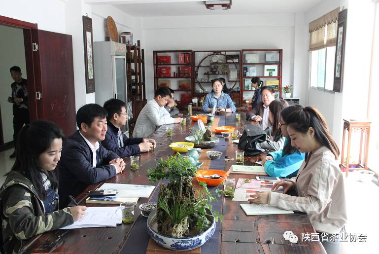 紫阳富硒茶苗种植（紫阳富硒茶核心产区）-硒宝网