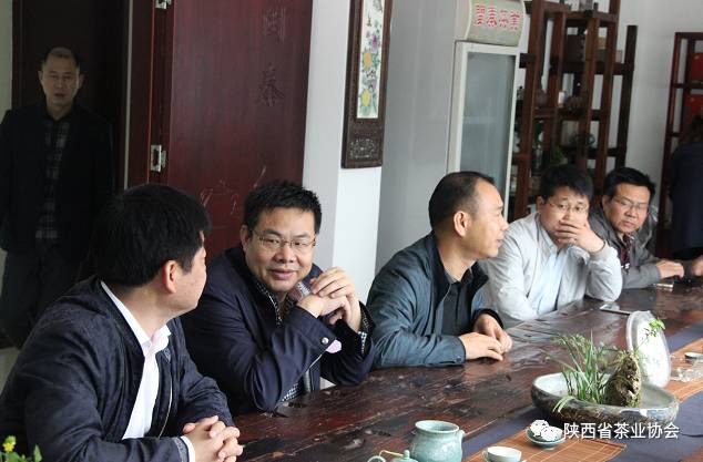 紫阳富硒茶苗种植（紫阳富硒茶核心产区）-硒宝网