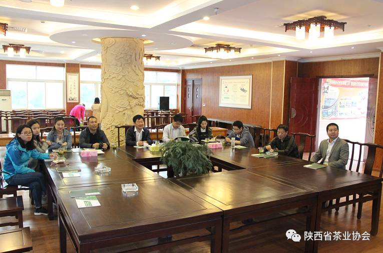 紫阳富硒茶苗种植（紫阳富硒茶核心产区）-硒宝网