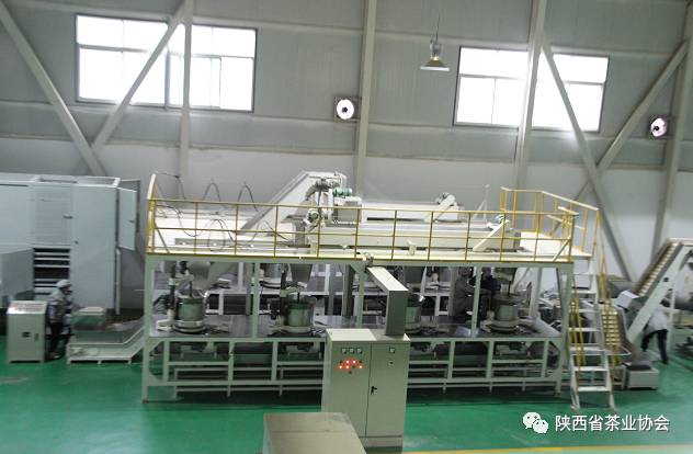 紫阳富硒茶苗种植（紫阳富硒茶核心产区）-硒宝网