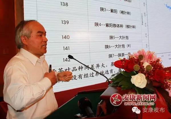 哪里买安全富硒茶（富硒茶产品的市场分析）-硒宝网