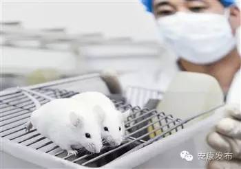 哪里买安全富硒茶（富硒茶产品的市场分析）-硒宝网