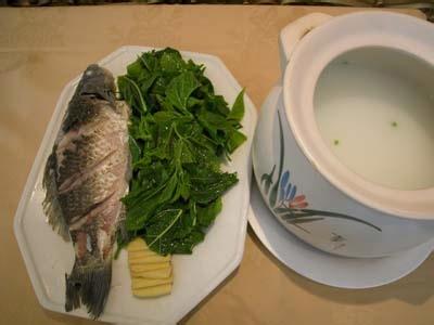 富硒桑叶茶的吃法(桑叶茶吃了有什么好处)-硒宝网