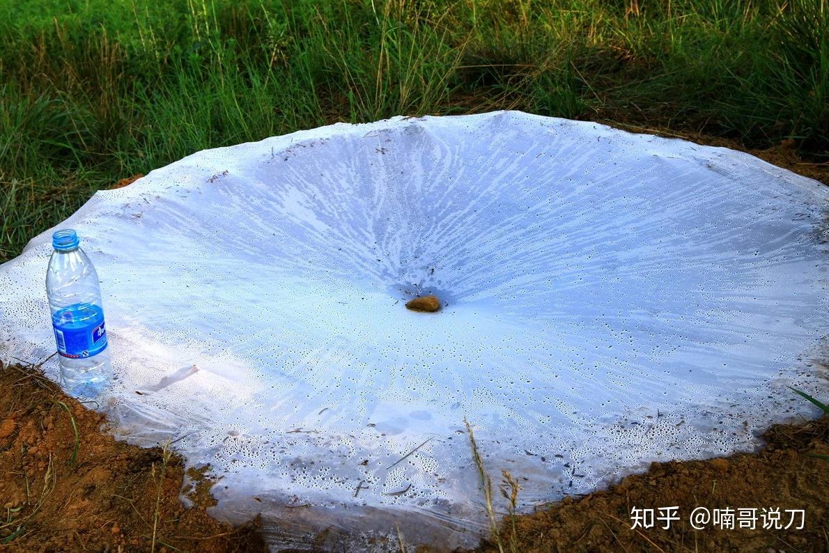 明月山富硒茶介绍(明月茶叶)-硒宝网