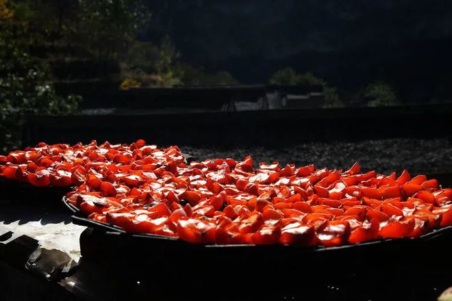 盐城大山村富硒茶（恩施富硒茶属于什么茶）-硒宝网