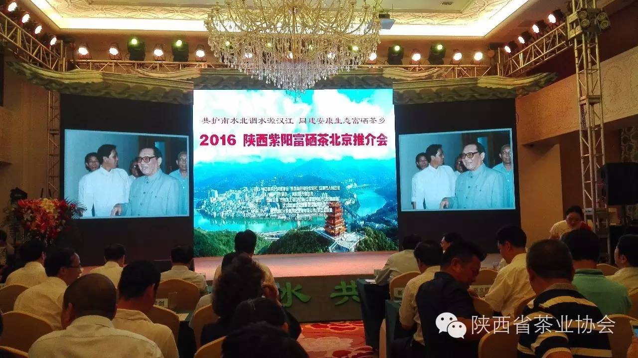 紫阳富硒茶在美国(紫阳富硒茶的竞争对手)-硒宝网