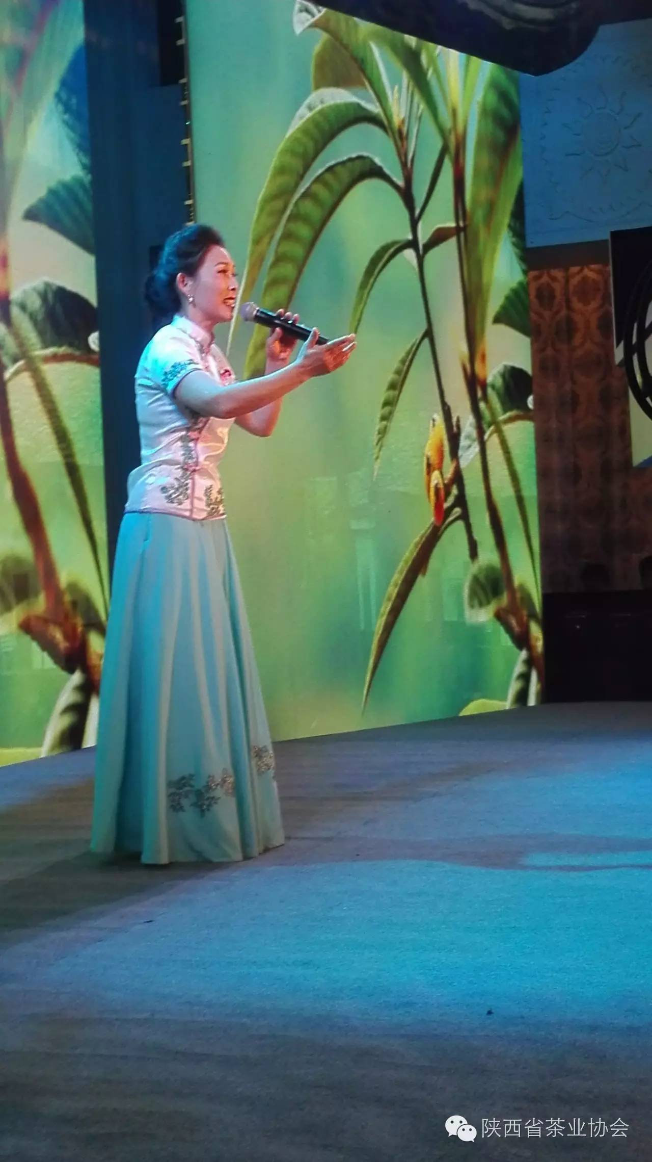 紫阳富硒茶在美国(紫阳富硒茶的竞争对手)-硒宝网