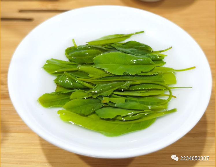 富硒茶啤酒哪家好（富硒茶啤酒在全国行业排第几）-硒宝网