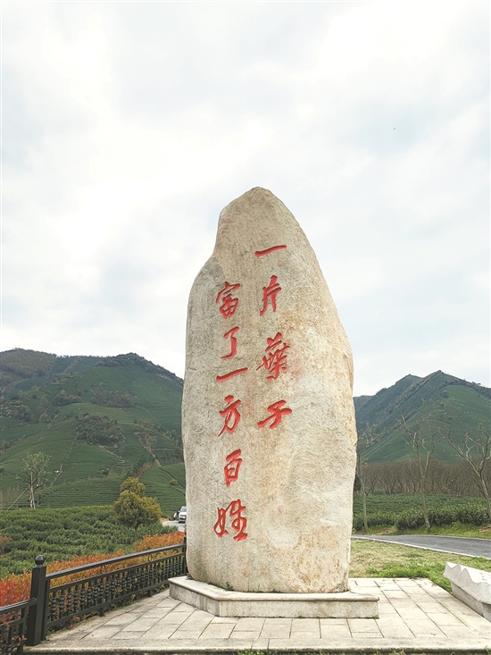 苏州有名的富硒茶(富硒茶庄)-硒宝网