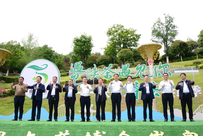 安康南宫山富硒茶（安康富硒茶园）-硒宝网