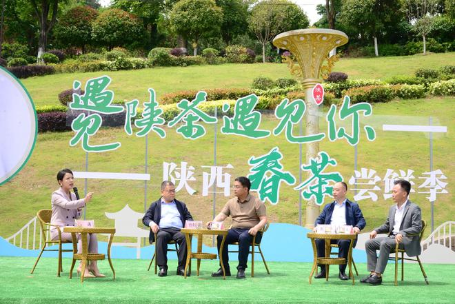 安康南宫山富硒茶（安康富硒茶园）-硒宝网