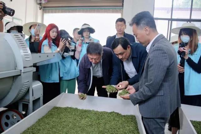 安康南宫山富硒茶（安康富硒茶园）-硒宝网