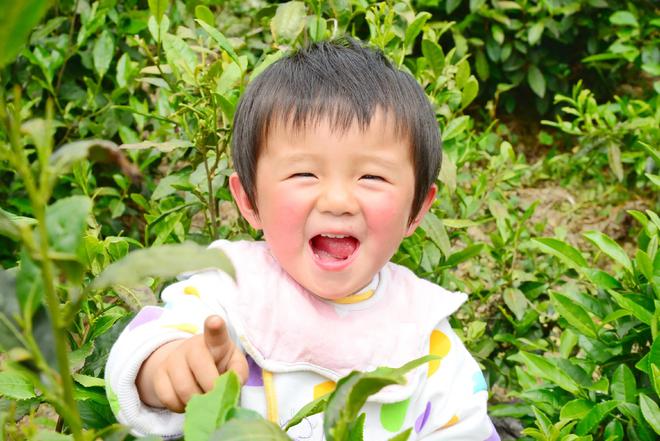 安康南宫山富硒茶（安康富硒茶园）-硒宝网