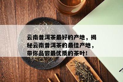 富硒茶哪里产地好（富硒茶排名）-硒宝网