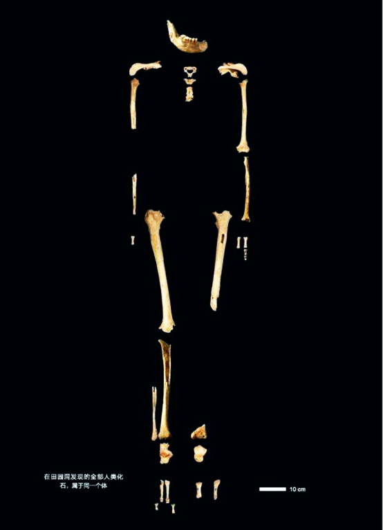 富硒茶产恩施哪里（恩施富硒茶厂）-硒宝网