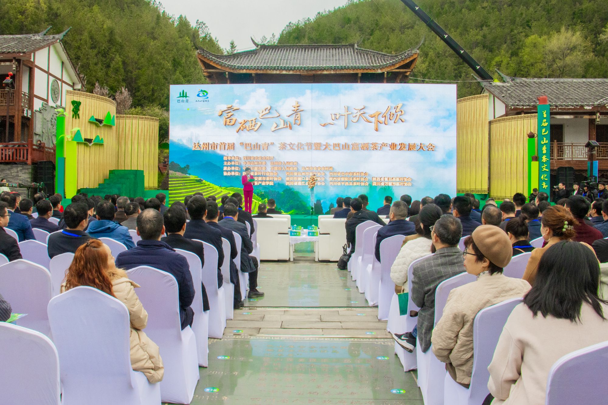 巴山富硒茶的用处(巴东富硒神茶)-硒宝网