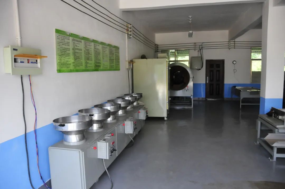 紫阳富硒茶苗种植（富硒紫阳茶多少钱一斤）-硒宝网