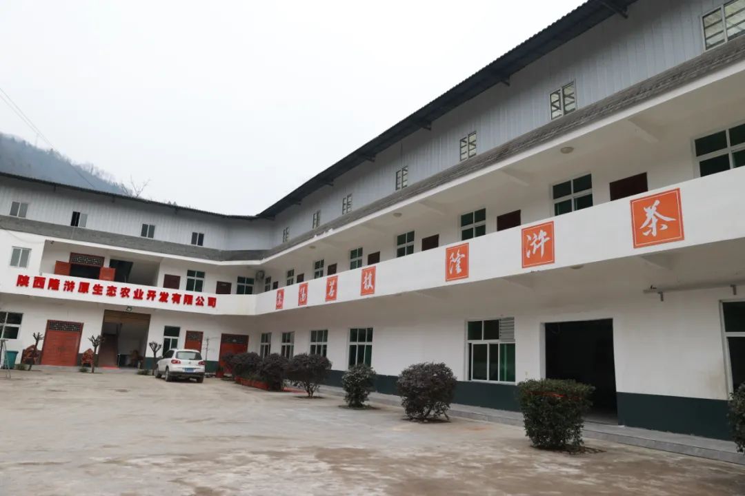 紫阳富硒茶清盛魁（紫魁茶叶多少钱）-硒宝网