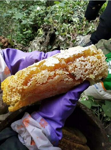 紫阳富硒茶无美颜(紫阳富硒茶是绿茶吗)-硒宝网