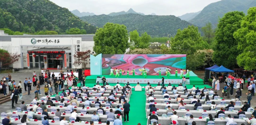 石台富硒茶的由来(石台富硒茶的功效与作用)-硒宝网