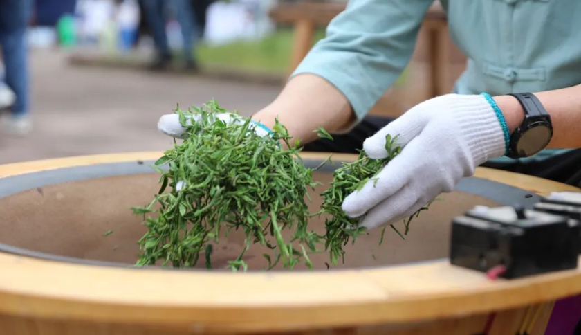 石台富硒茶的由来(石台富硒茶的功效与作用)-硒宝网