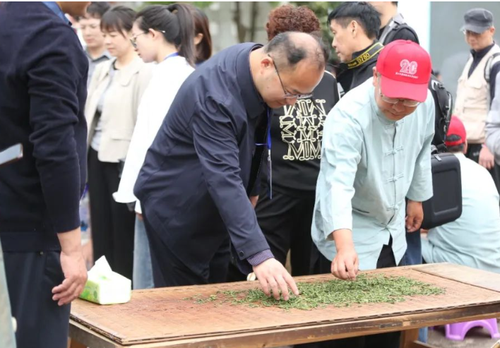 石台富硒茶的由来(石台富硒茶的功效与作用)-硒宝网