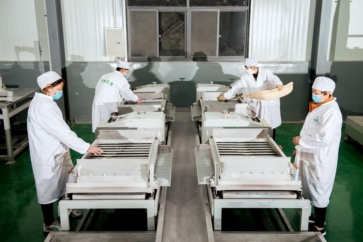 富硒茶走廊的位置（富硒茶的功效作用）-硒宝网