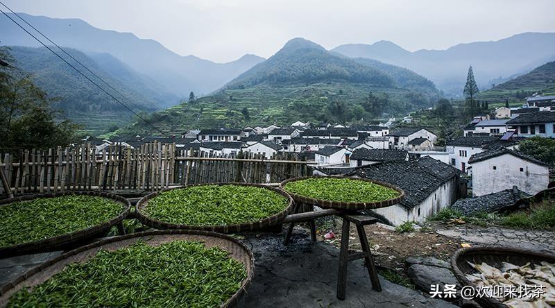 富硒瓜片是什么茶（茶富硒瓜片是什么味道）-硒宝网