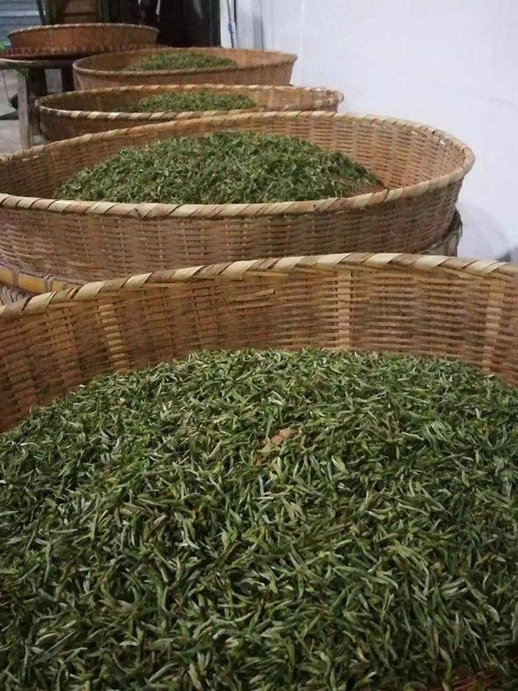 富硒茶是什么种类（种类茶富硒是什么茶）-硒宝网