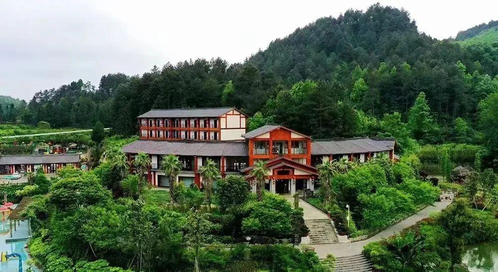 富锌硒茶贵州遵义（贵州富锌富硒茶绿茶）-硒宝网