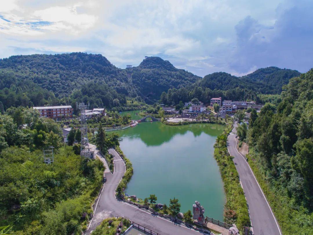 富锌硒茶贵州遵义（贵州富锌富硒茶绿茶）-硒宝网