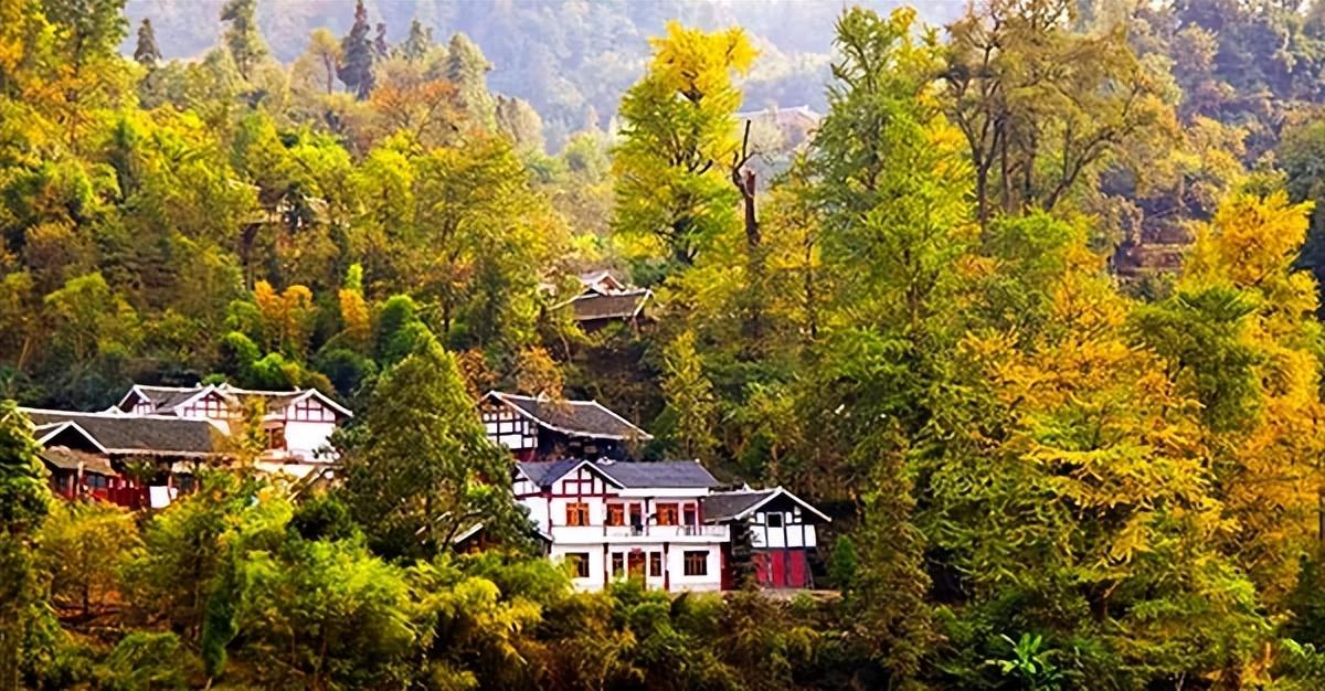 富锌硒茶贵州遵义（贵州富锌富硒茶绿茶）-硒宝网