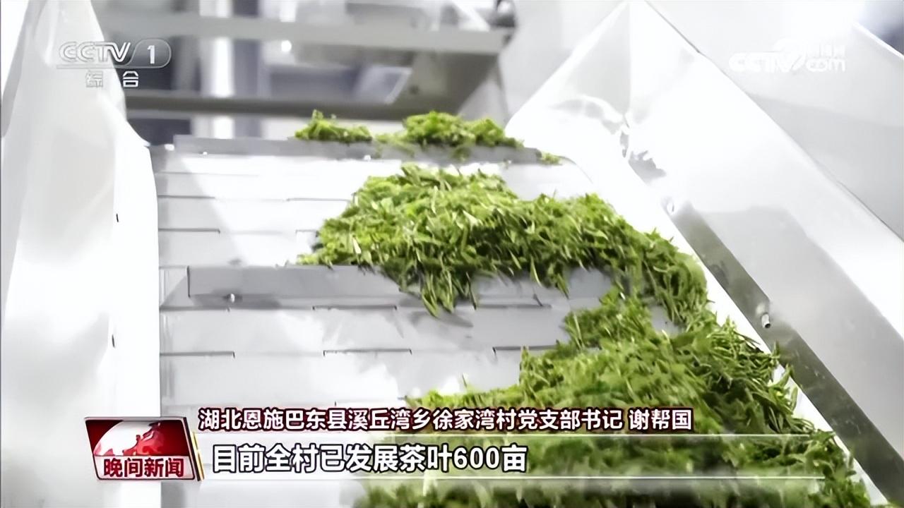 普洱富硒茶在哪里(普洱富硒茶的价格)-硒宝网
