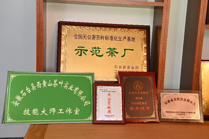 石台富硒茶的由来(石台特产富硒茶价格)-硒宝网