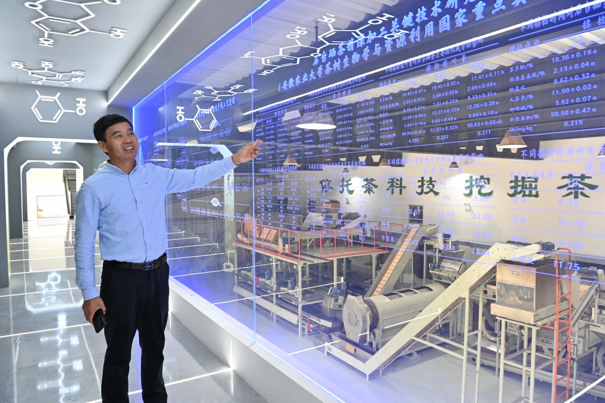 石台富硒茶的由来(石台特产富硒茶价格)-硒宝网